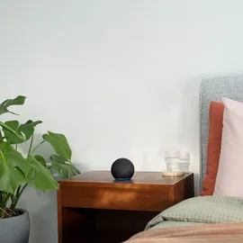 Bosch Smart Home - Starter Set Relais 3er Pack + Echo Dot (5th) mit Alexa