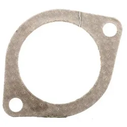REINZ Dichtung, Ansaugkrümmergehäuse ALFA ROMEO,LANCIA 71-38304-00 60513868,60810617