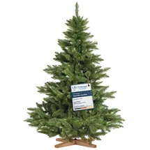 FairyTrees Nordmanntanne Premium grün 150 cm
