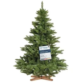 FairyTrees Nordmanntanne Premium grün 150 cm