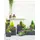 Dehner Palermo 80 x 30 x 30 cm Dunkelgrau