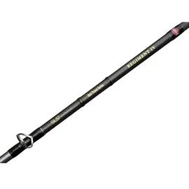 Penn Regiment Iv Boat Travel Spinnrute - Silver - 2.10 m - 30-50 Lbs
