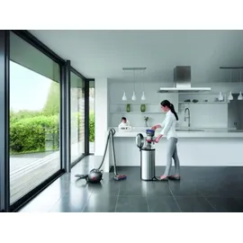 Dyson Big Ball Parquet 2