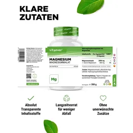 Vit4ever Magnesium Malat Kapseln 365 St.
