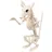 Boland Ratten-Skelett 18 cm Beige/Schwarz
