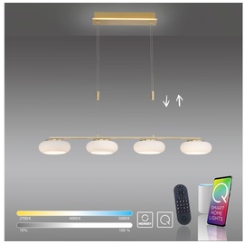 Q-Smart-Home Paul Neuhaus Q-ETIENNE LED-Hängelampe 4fl, messing