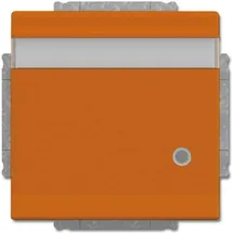 Busch-Jaeger Steckdoseneinsatz 20 EUKNBL-14-82 Orange 1 St.