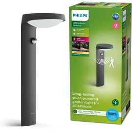 Philips Sockelleuchte Kunststoff, Metall 40,0 cm inkl. Bewegungsmelder anthrazit
