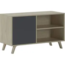 SKRAUT HOME Wind 100 TV-Schrank 95 x 40 x 57 cm Anthrazitgrau/Eiche