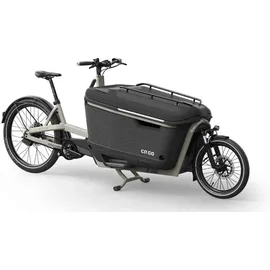 ca go FS200 Multi - 27.5/20 Zoll 625Wh Enviolo Lastenrad - grey - Unisize