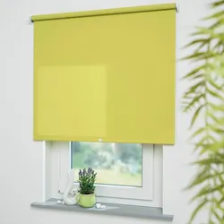 Springrollo LIEDECO "Uni" Gr. 1, grün (grün, bitte auswählen), B:212cm H:180cm, Kunststoff, Metall, Polyester, Rollos, Rollowelle 36 mm, starke Feder