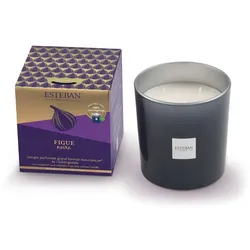 Esteban FIGUE NOIRE Raumdüfte 450 g 