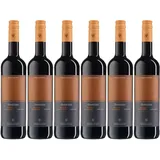 6x Dornfelder halbtrocken, 2023 - Winzervereinigung Freyburg-Unstrut, Saale-Uns...