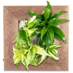 Flowerbox Flowerwall S - holz dunkelbraun - 31x31 cm