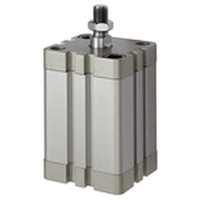 Riegler 15.DMA.40100 Serie ACE Kompaktzylinder, doppeltwirkend, ag, Ø40, Hub100,