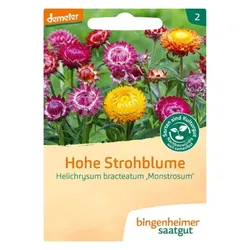 Bingenheimer Saatgut Hohe Strohblume