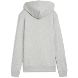 Puma Hoodie Grau XS