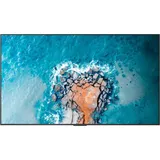 Hisense 100DM66E 100" schwarz