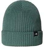 TNF Fisherman Beanie
