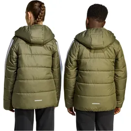adidas Winterjacke Olive Strata/White 152