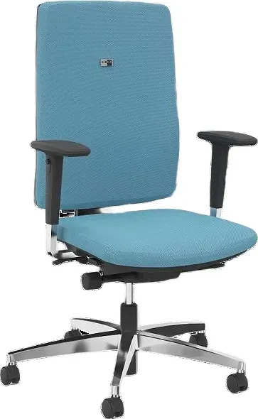 Viasit Linea Polsterrücken 60cm