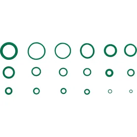 BGS O-Ring-Sortiment HNBR Grün 225-teilig Ø 3 - 22 mm