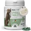 Spirulina Tabletten - ReaVET