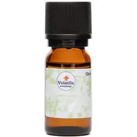 Volatile Teebaum - Tea Tree ätherisches Öl 10 ml
