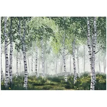 WallArena Fototapete 3D Effekt- Birken Wald Bäume Tapete Wohnzimmer 300x210