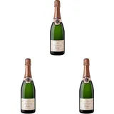 Freixenet Trepat Brut Cava DO Conca de Barberà (1 x 0,75 l) (Packung mit 3)
