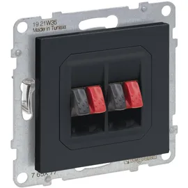 Legrand SEANO Lautsprecher-Anschluss 2-fach mit Federklemmen (Rot/Schwarz), anthrazit lackiert, 765477