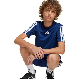 adidas Train Essentials 3-Streifen T-Shirt blau