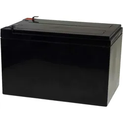 Powery FirstPower Blei-Gel Akku für Solaranlagen Hebebühnen Reinigungsmaschinen 12Ah 12V VdS