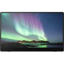 Ricoh 150 15,6" schwarz