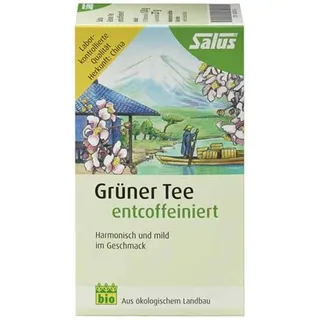 SALUS Grüner Tee Teebeutel 15 St.