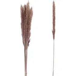 VOSTEEN 1 Stück Pampasgras im Bund  Trockenblumen-Deko für Vase & Tisch  natürliche Ziergräser für Boho-Deko & Feierlichkeiten