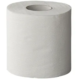 PRO PLUS Camping Toilettenpapier selbst auflösend 96 x 250 Blatt