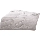 Traumschlaf Nature Kamelhaardecke medium, Füllung: 100% Kamelhaar 155x220 cm - weiß