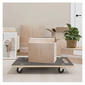 vidaXL Transportroller 250 kg