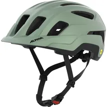 Alpina Paranus MIPS 52-56 cm willow-green matt 2021