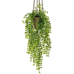 Emerald Künstlicher Kletter-Ficus künstlich 80 cm