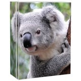 banjado Medizinschrank Stahl Koala (abschließbar, 3 große und 2 kleine Fächer) 35 x 46 x 15cm weiß