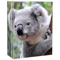 banjado Medizinschrank Stahl Koala (abschließbar, 3 große und 2 kleine Fächer) 35 x 46 x 15cm weiß