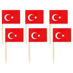 50 Flaggen Deko Picker Türkei