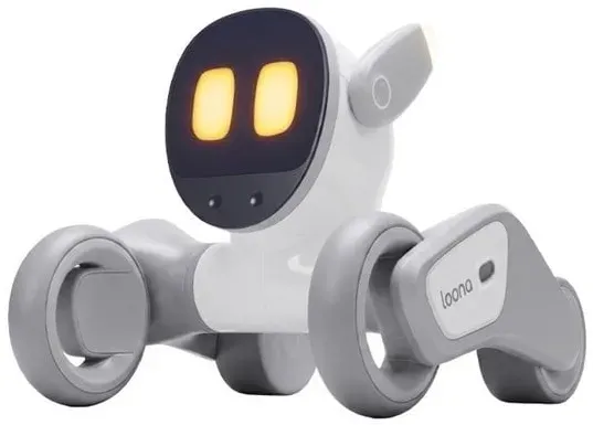 Premium Interactive Robot