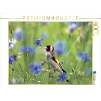 Calvendo Stieglitz Puzzle