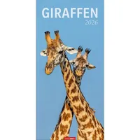 Weingarten Giraffen Kalender 2026