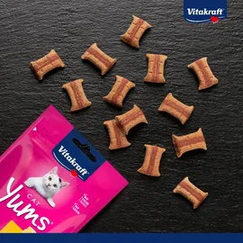 Vitakraft Cat Yums Käse 40 g