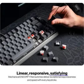 endorfy Thock V2 75% Endorfy Red Switch US