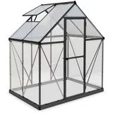 CANOPIA Palram - Canopia Aluminium Gewächshaus Hybrid 64 | Anthrazit | 126x185x208 cm